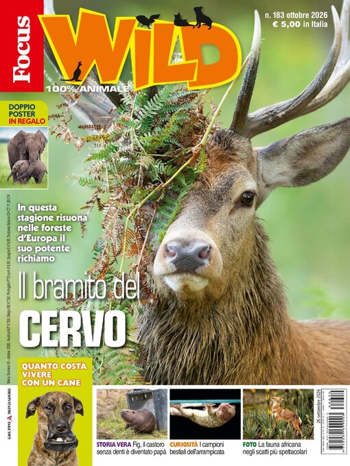 Cover image for Focus Wild 